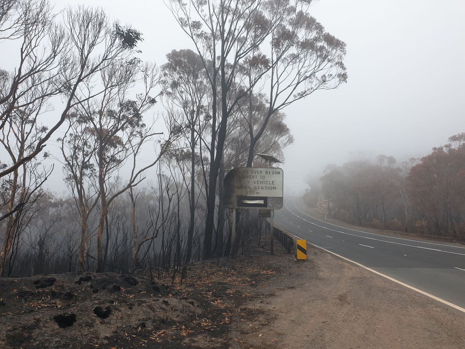 Smoke haze over a road through burnt bushland in New South Wales