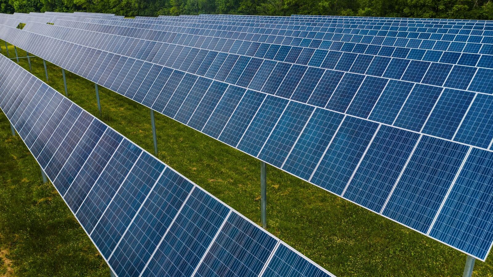 Rows of solar panels stretching across a sunny field